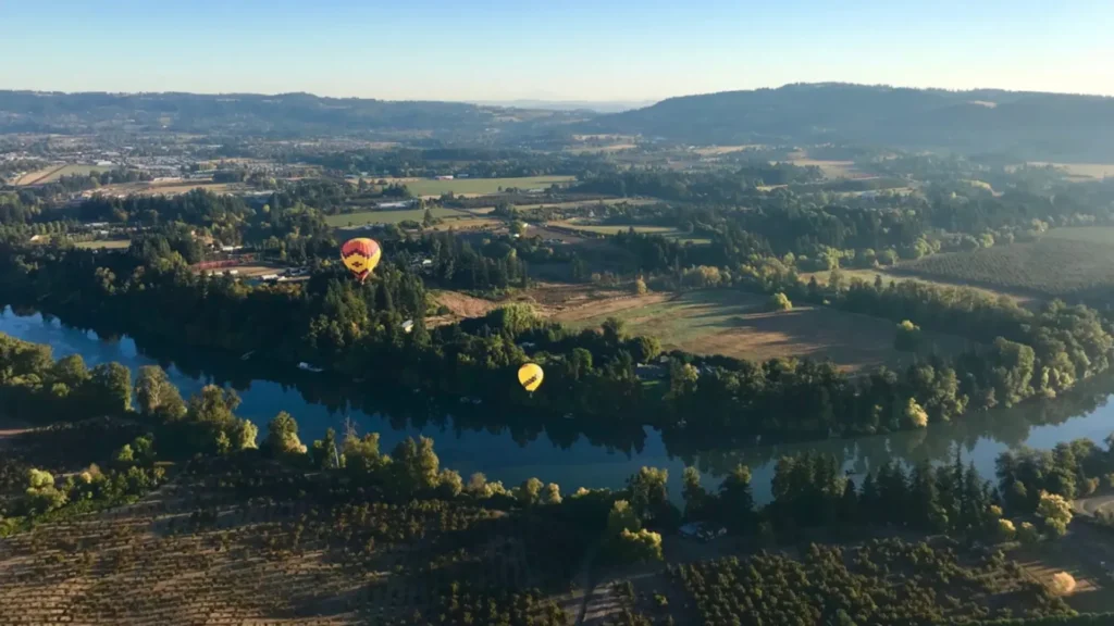 Is 2022 Really a Miracle Vintage for Oregon Wines?
