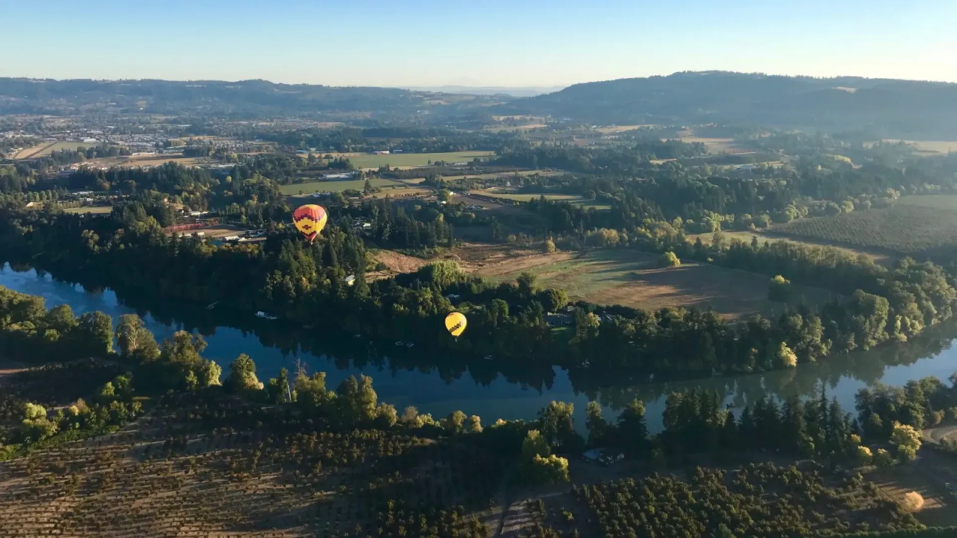 Is 2022 Really a Miracle Vintage for Oregon Wines?