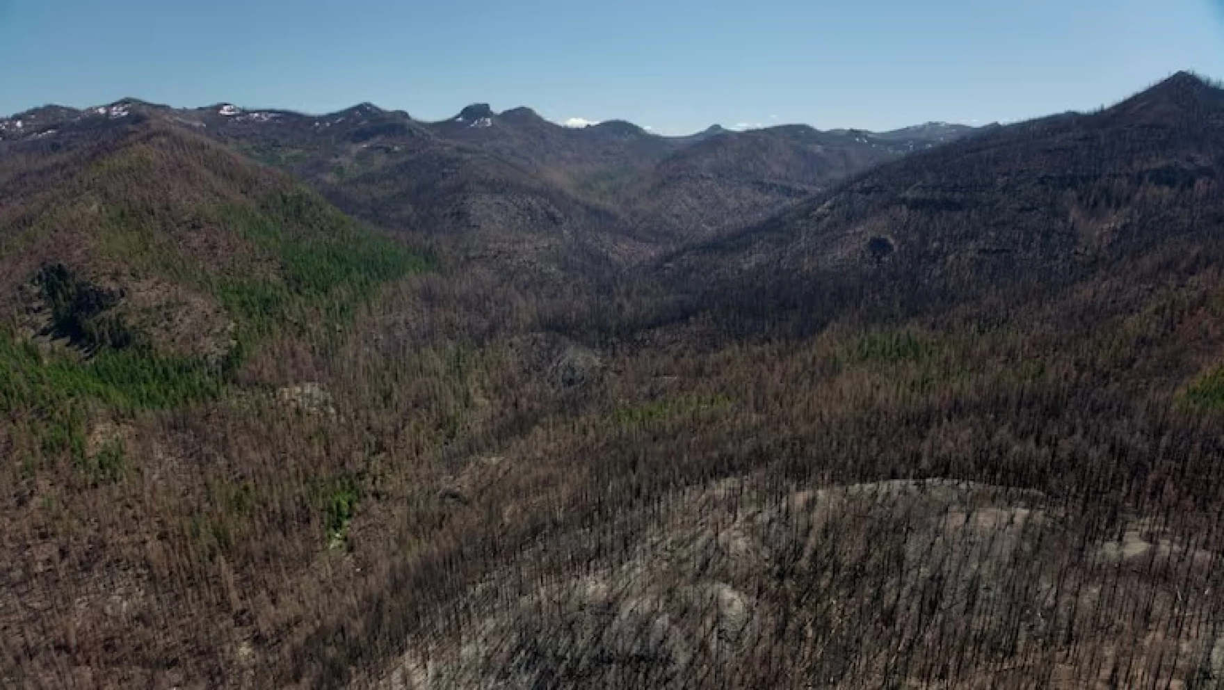 Oregon’s Labor Day Fires Still Killing Trees Years Later, PSU Study Finds