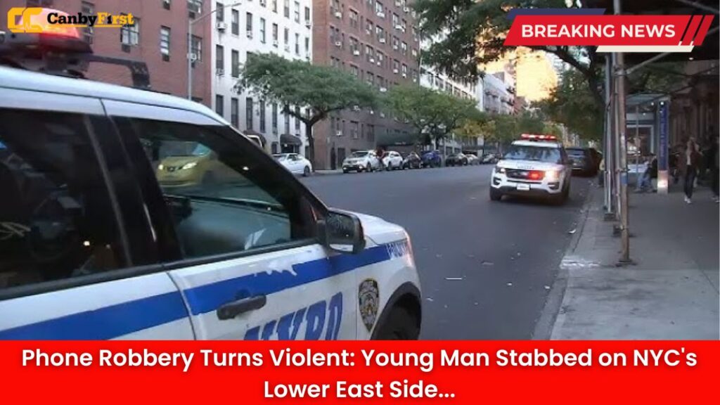 Phone Robbery Turns Violent: Young Man Stabbed on NYC's Lower East Side