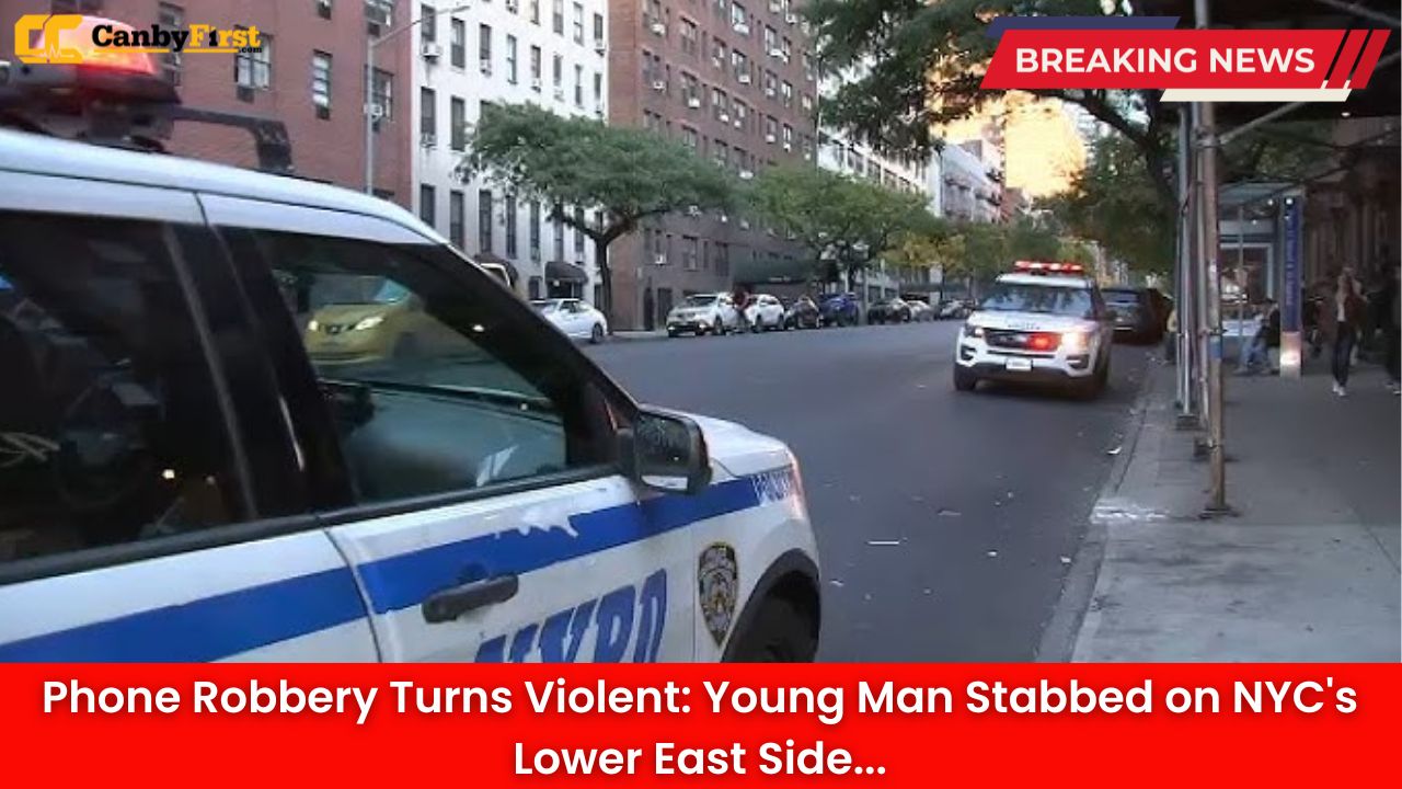 Phone Robbery Turns Violent: Young Man Stabbed on NYC's Lower East Side