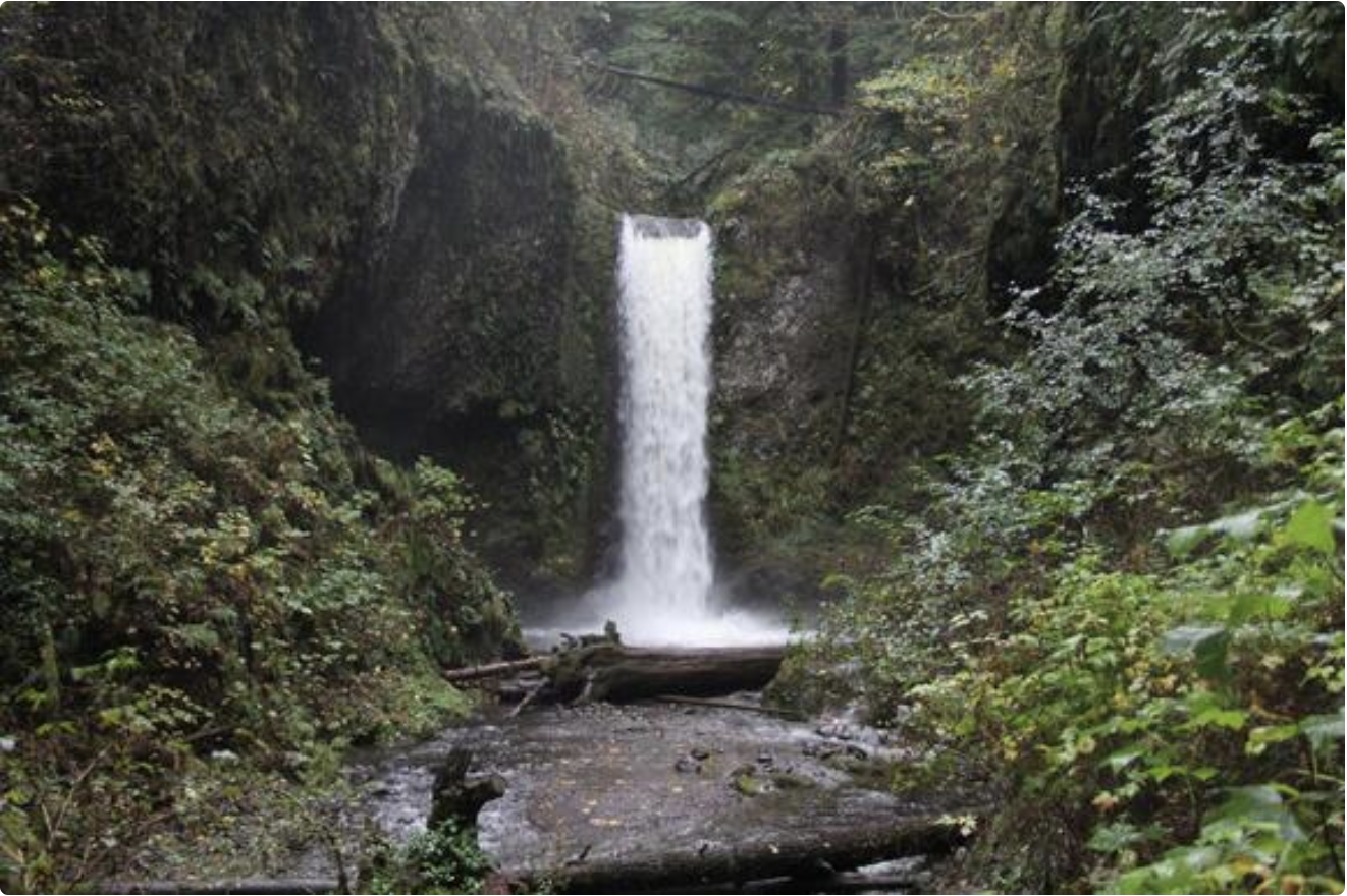 49-Year-Old Hiker Found Dead Near Multnomah Falls Identified