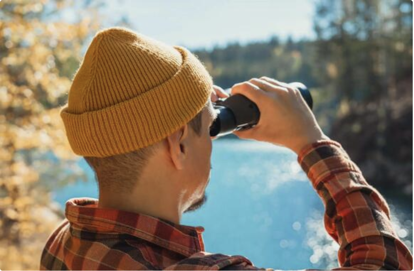 Bird-Watchers Alarmed by Disappearance of Familiar Species: “This Year There Were Zero”