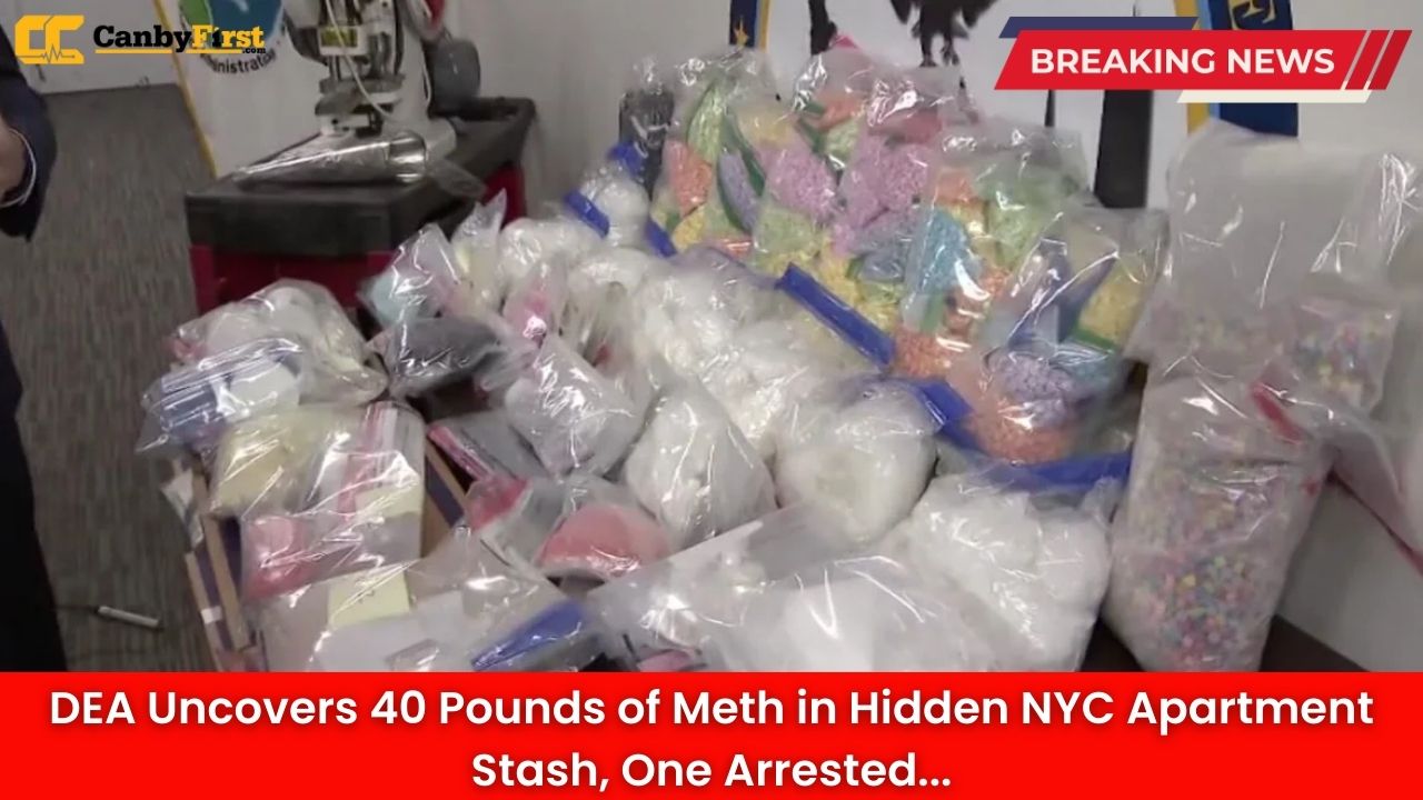 DEA Uncovers 40 Pounds of Meth in Hidden NYC Apartment Stash, One Arrested