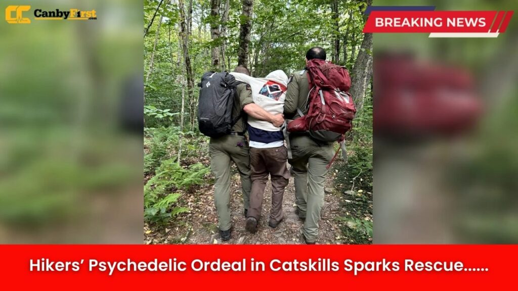 Hikers’ Psychedelic Ordeal in Catskills Sparks Rescue