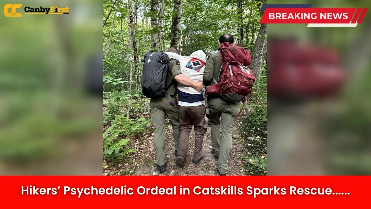 Hikers’ Psychedelic Ordeal in Catskills Sparks Rescue