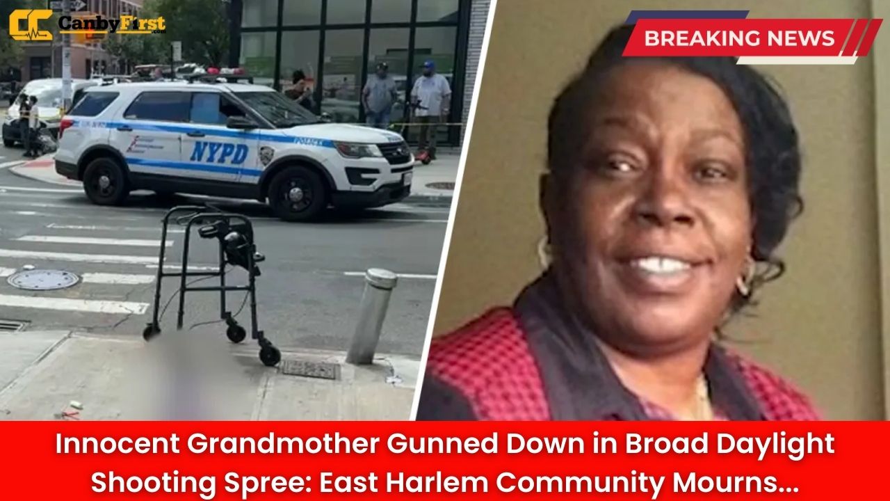 Innocent Grandmother Gunned Down in Broad Daylight Shooting Spree: East Harlem Community Mourns