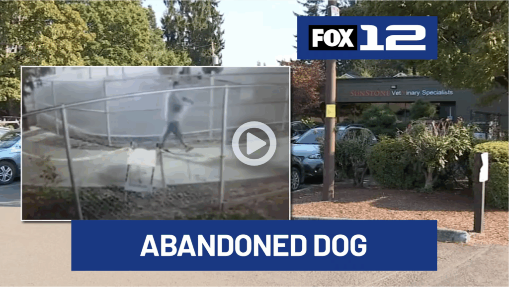 Man Caught on Camera Abandoning Injured Dog Outside Northeast Portland Vet Clinic