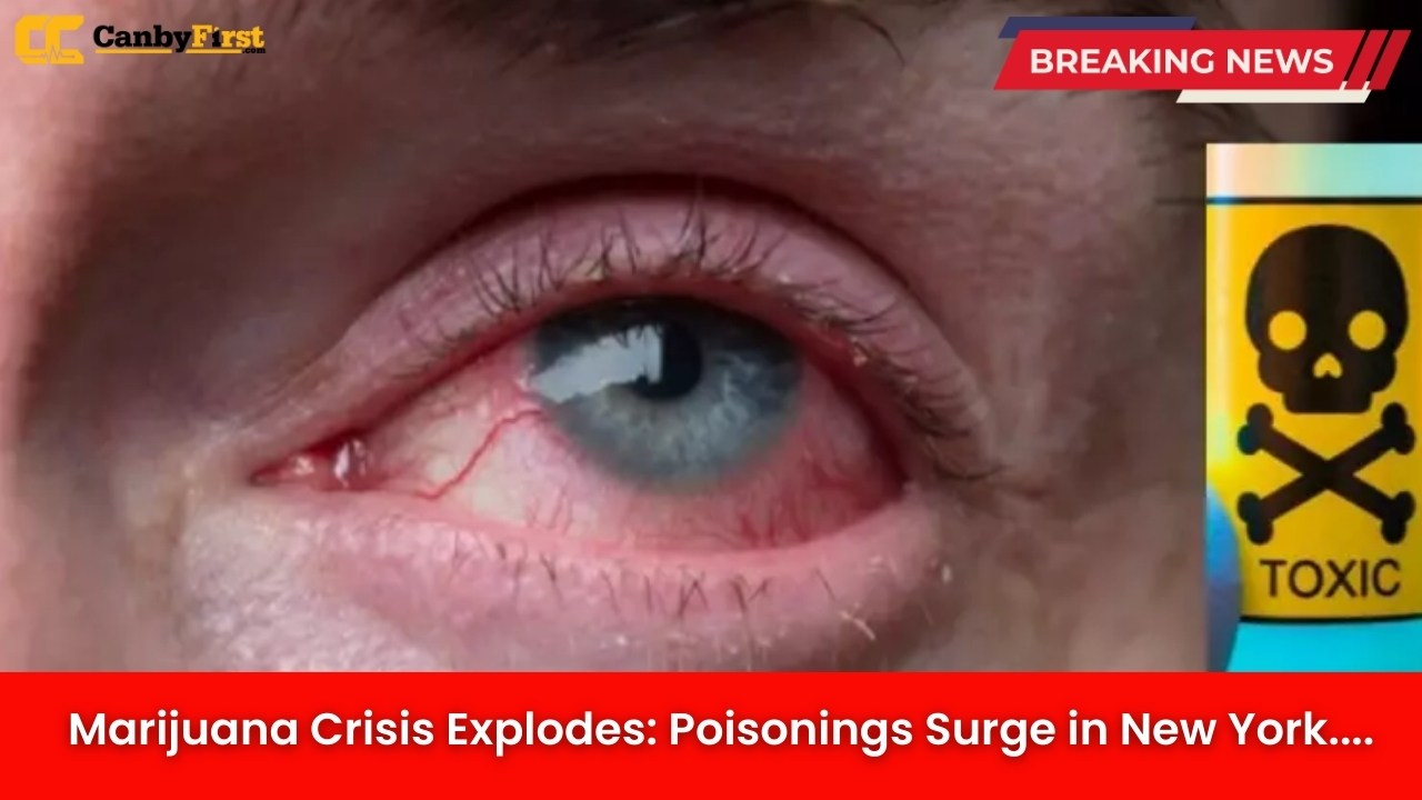Marijuana Crisis Explodes: Poisonings Surge in New York
