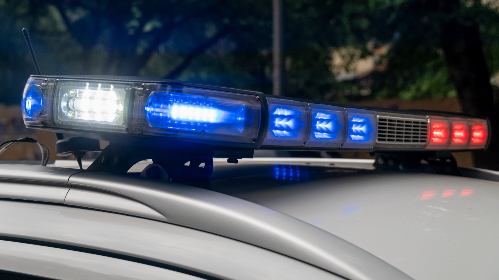 Montana Man Arrested After Vandalizing Dozens of Cars at Salem Dealerships