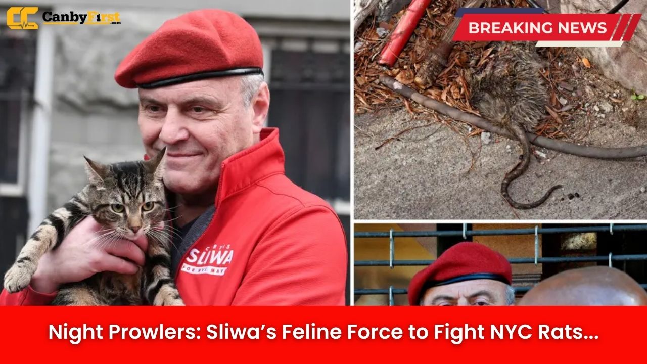 Night Prowlers: Sliwa’s Feline Force to Fight NYC Rats