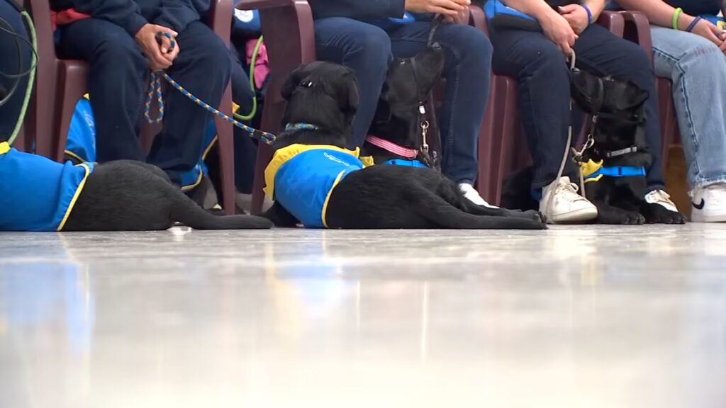 Service Dogs Reunited with Coffee Creek Inmates Who Helped Raise Them