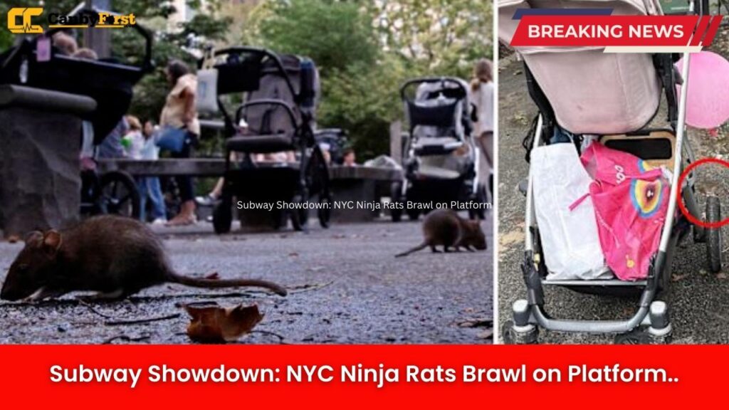 Subway Showdown: NYC Ninja Rats Brawl on Platform