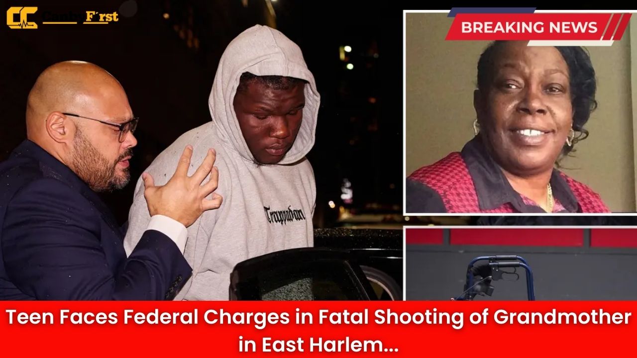 Teen Faces Federal Charges in Fatal Shooting of Grandmother in East Harlem