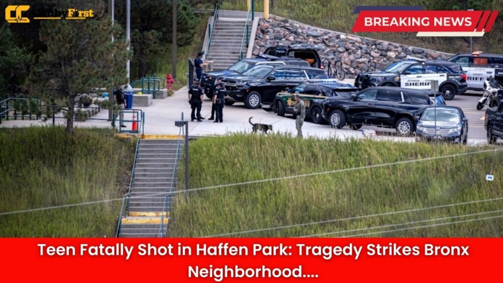 Teen Fatally Shot in Haffen Park: Tragedy Strikes Bronx Neighborhood