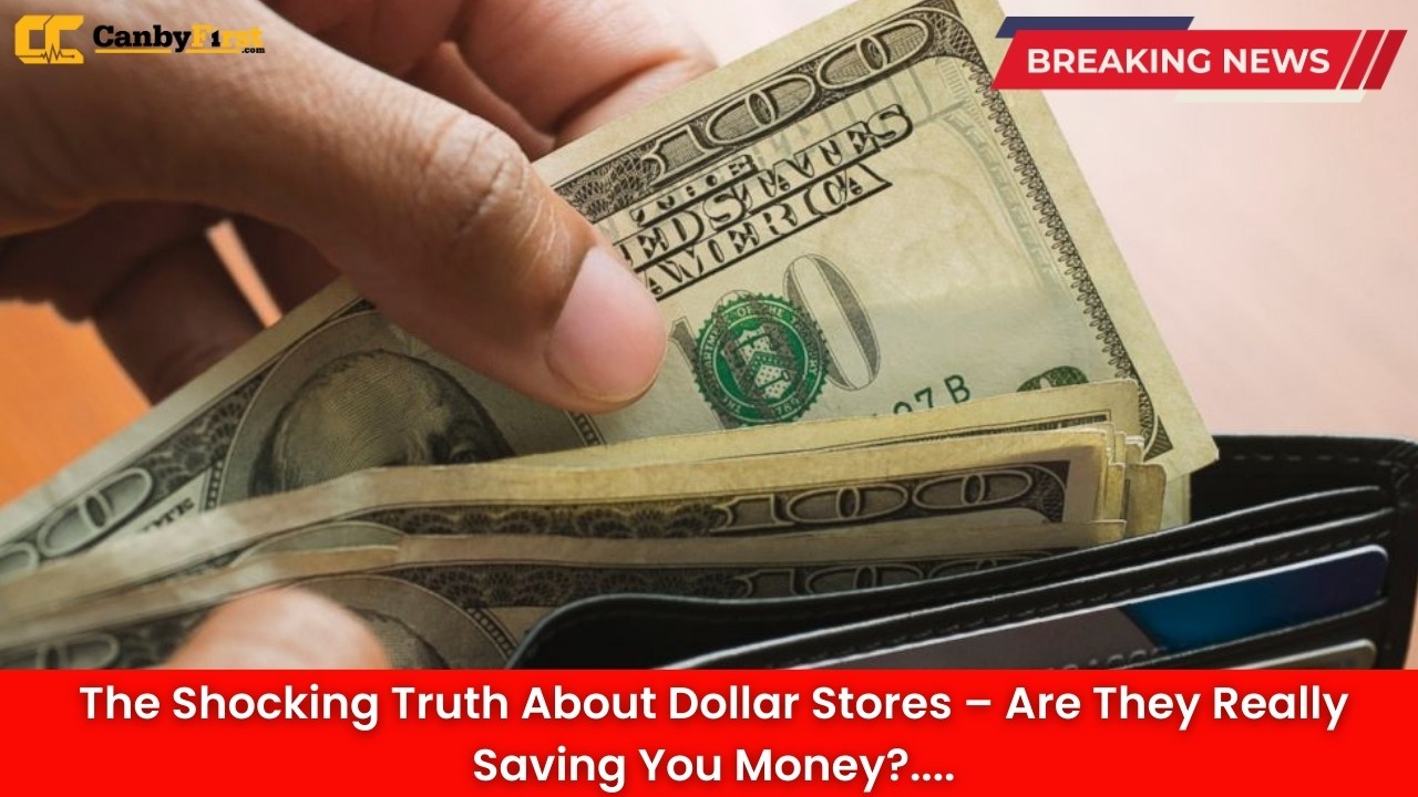The Shocking Truth About Dollar Stores – Are They Really Saving You Money?