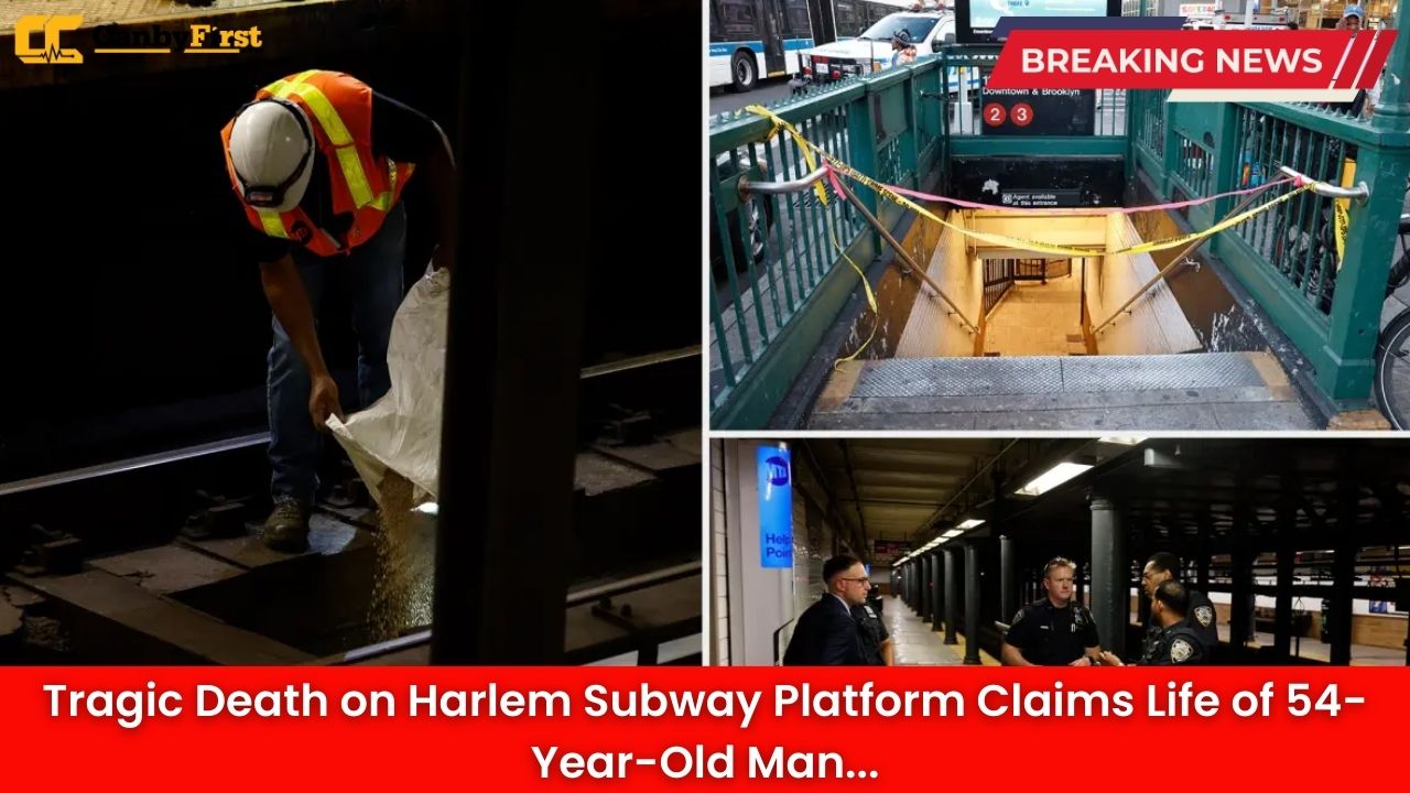Tragic Death on Harlem Subway Platform Claims Life of 54-Year-Old Man