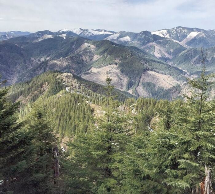 Trump Officials Plan to Remove Protections on 2 Million Acres of Oregon National Forests