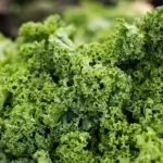 U.S. Military Cleans Up “Discarded Kale” at Portland Farmers Market