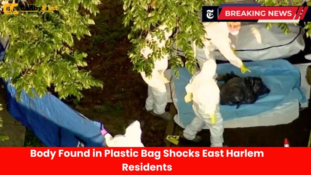 Body Found in Plastic Bag Shocks East Harlem Residents