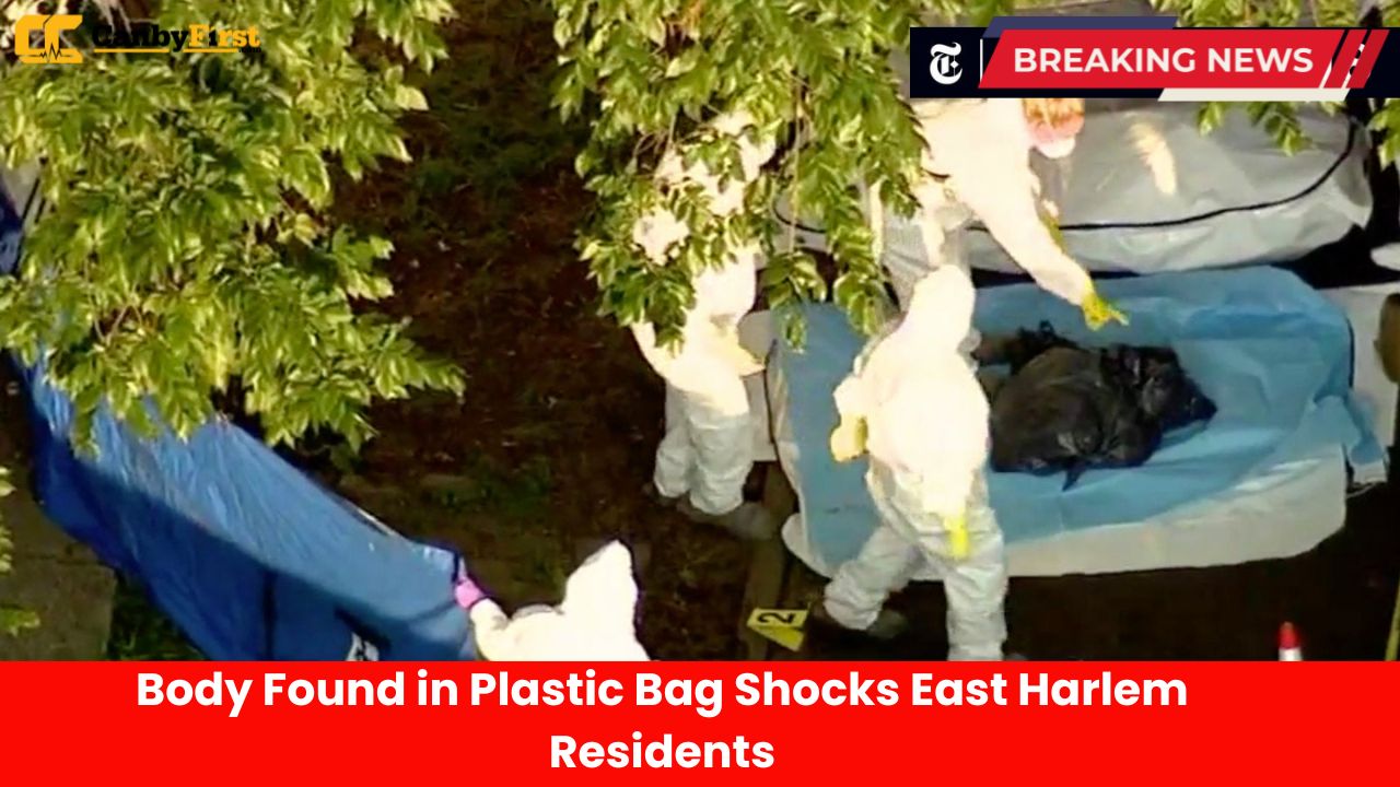 Body Found in Plastic Bag Shocks East Harlem Residents