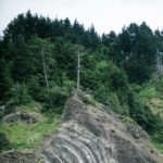 Cascadia Quake Could Trigger San Andreas, Raising Risk of West Coast Megaquake