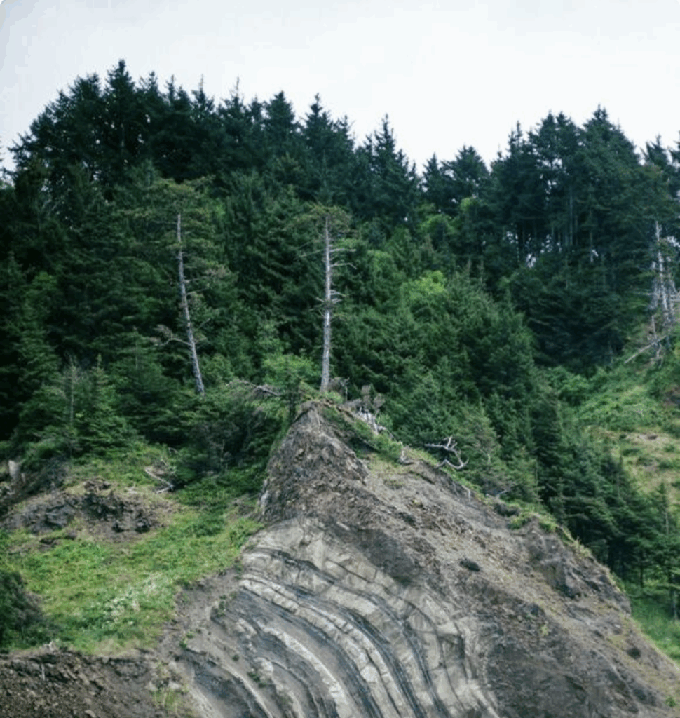 Cascadia Quake Could Trigger San Andreas, Raising Risk of West Coast Megaquake