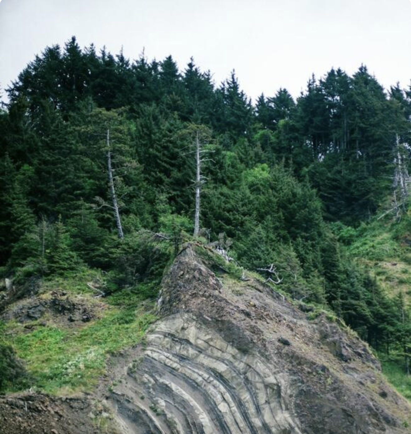 Cascadia Quake Could Trigger San Andreas, Raising Risk of West Coast Megaquake