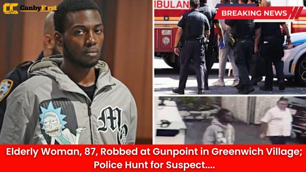 Elderly Woman, 87, Robbed at Gunpoint in Greenwich Village; Police Hunt for Suspect