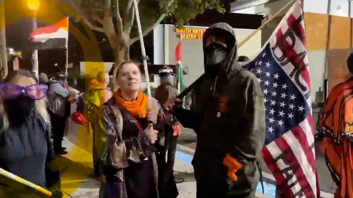 Everything You Wanted to Know About the Portland Protests