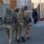 Feds Explain Arrest of Comedian Dressed as a Giraffe, Caught on Video
