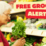 Free Groceries for Seniors Through State Programs