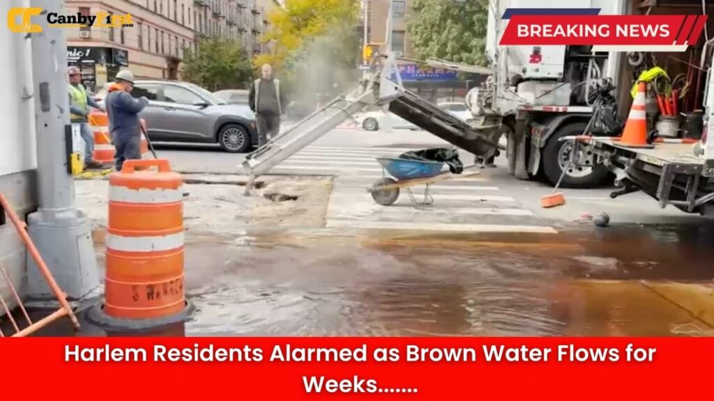 Harlem Residents Alarmed as Brown Water Flows for Weeks