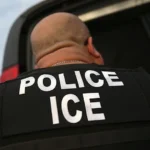 ICE Video Goes Viral After Agents Use Cart to Wheel Portland Protester Into Custody