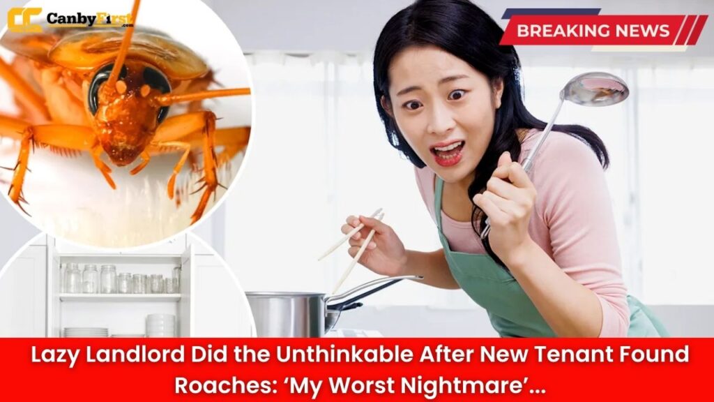 Lazy Landlord Did the Unthinkable After New Tenant Found Roaches: ‘My Worst Nightmare’