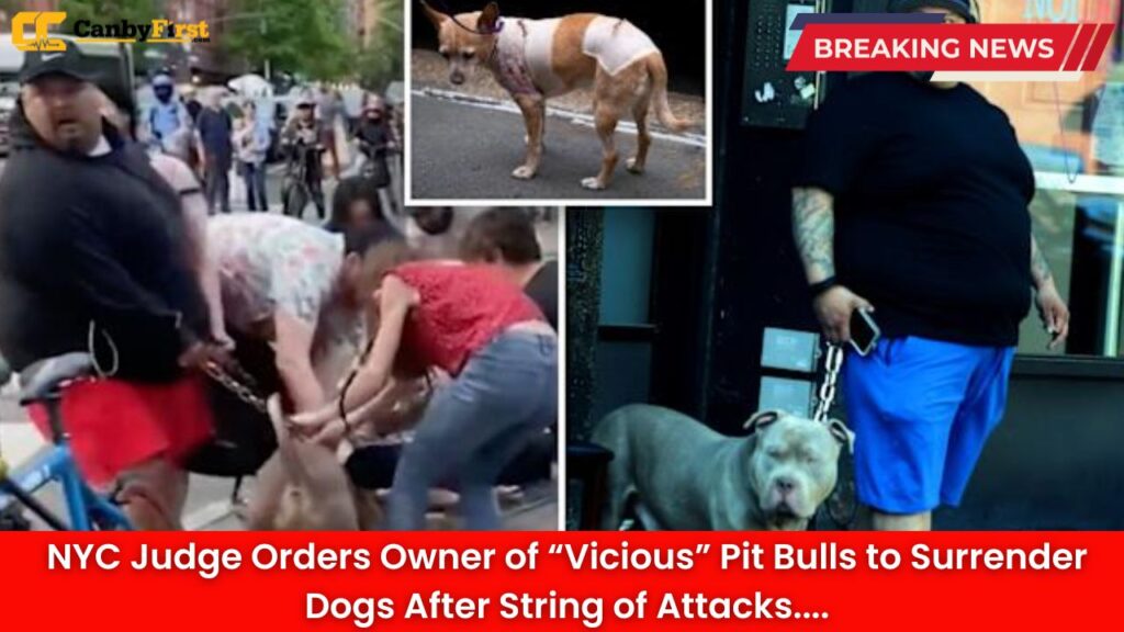 NYC Judge Orders Owner of “Vicious” Pit Bulls to Surrender Dogs After String of Attacks