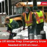 NYC Kicks Off Winter Prep: Emergency Snow Shovelers Needed at $19 an Hour