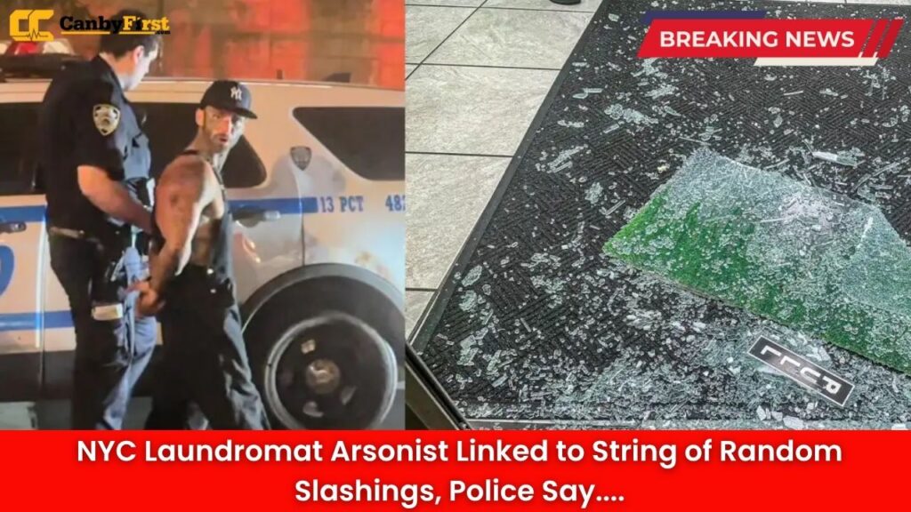 NYC Laundromat Arsonist Linked to String of Random Slashings, Police Say