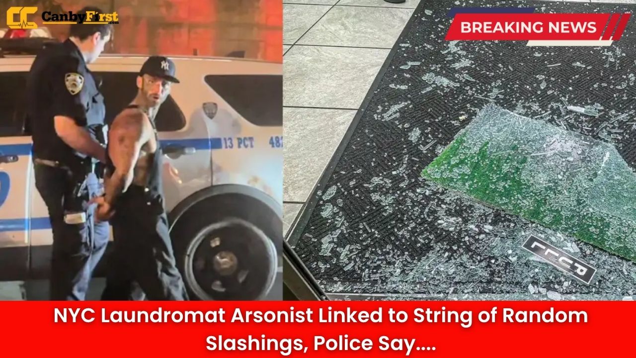 NYC Laundromat Arsonist Linked to String of Random Slashings, Police Say