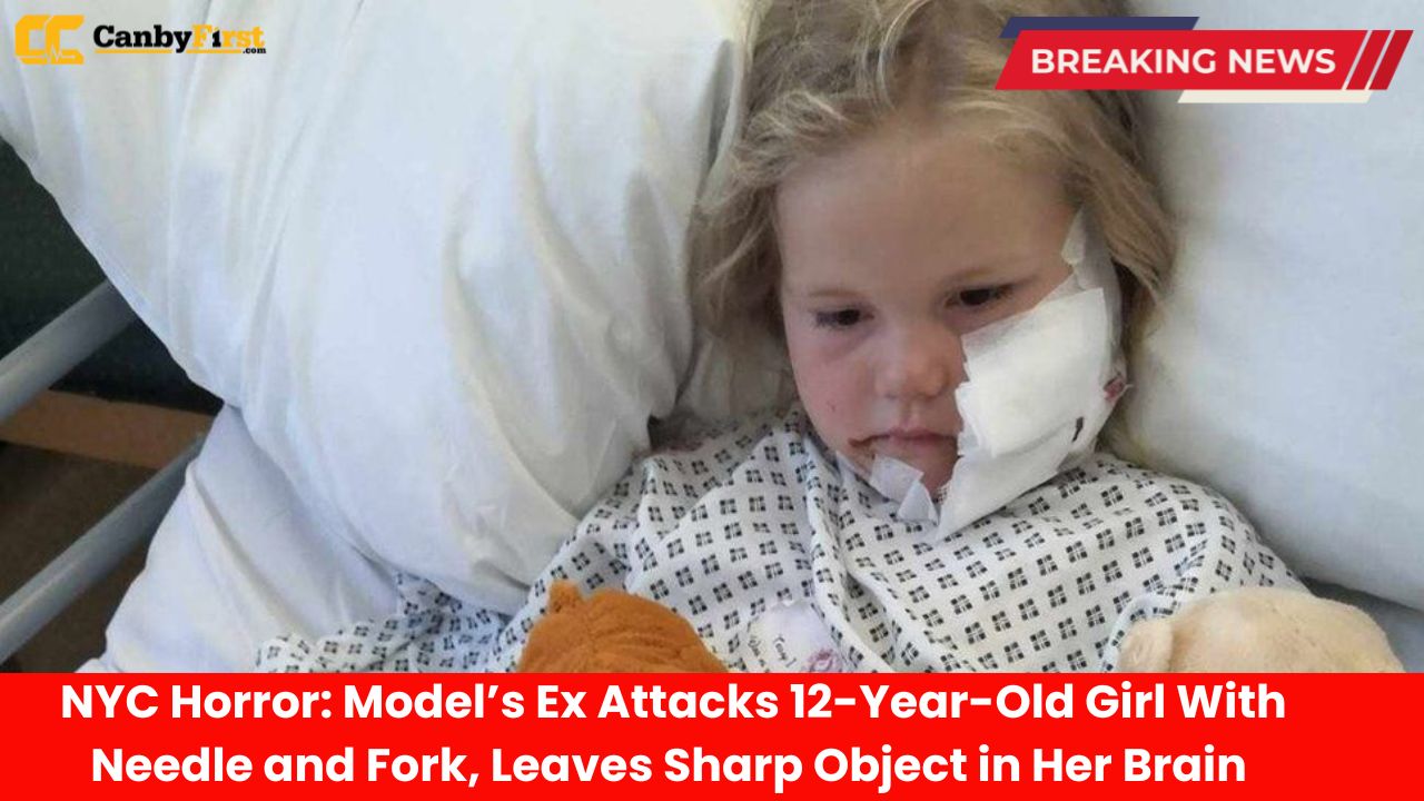 NYCHorror Model's EX attacks 12-year old girl with needle and fork,leaves Sharp Object in her Brain