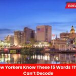 Only True New Yorkers Know These 15 Words That Outsiders Can’t Decode