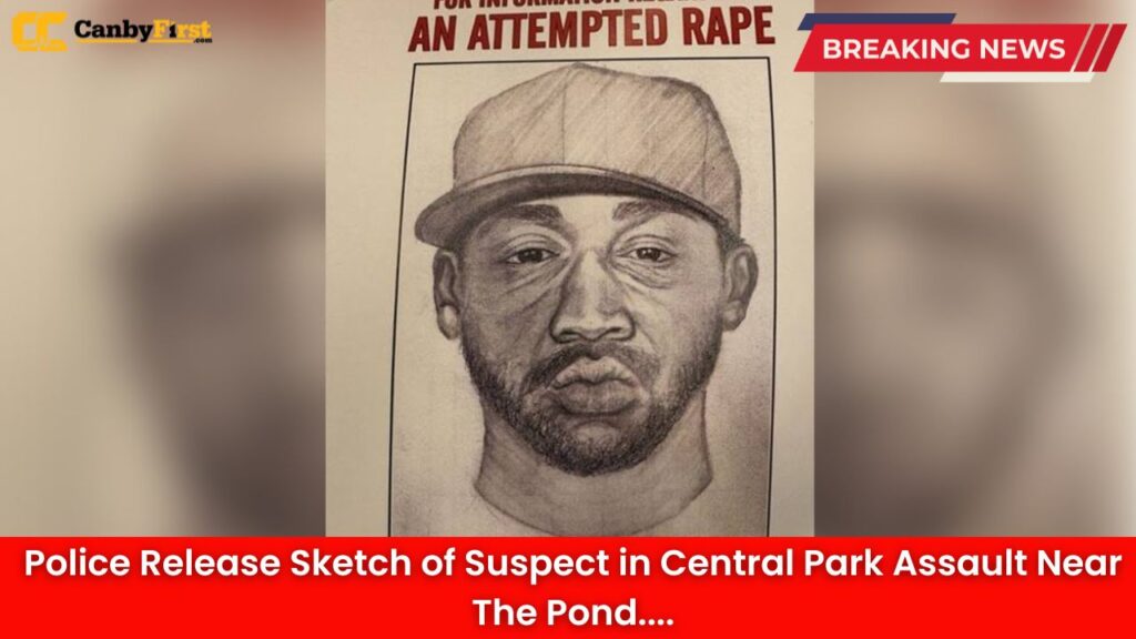 Police Release Sketch of Suspect in Central Park Assault Near The Pond