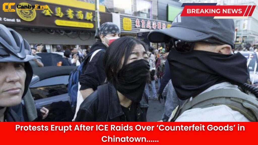 Protests Erupt After ICE Raids Over ‘Counterfeit Goods’ in Chinatown