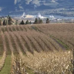Thoughts from the Tractor Seat: Oregon’s Fabric, Fraying at the Seams