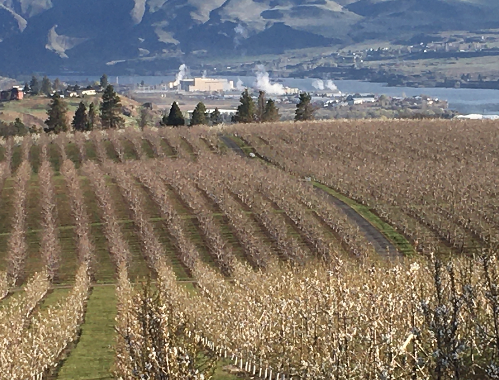 Thoughts from the Tractor Seat: Oregon’s Fabric, Fraying at the Seams