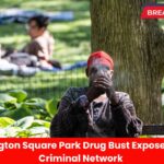 Washington Square Park Drug Bust Exposes Major Criminal Network
