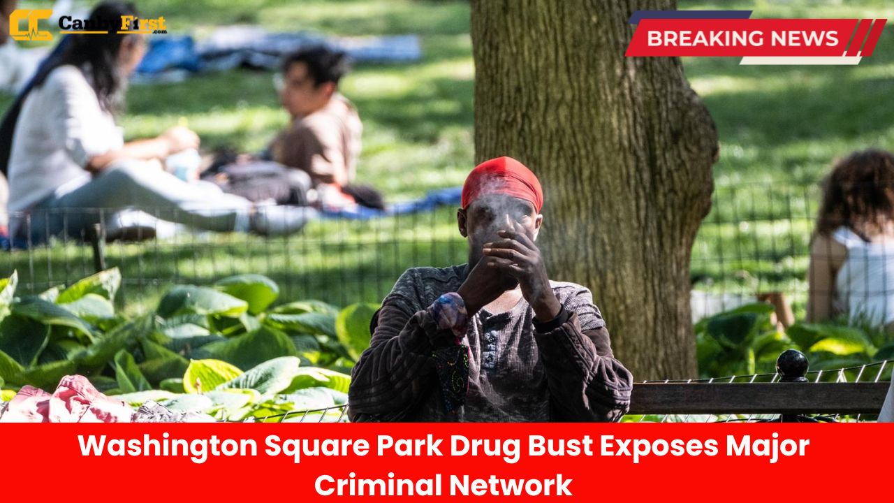Washington Square Park Drug Bust Exposes Major Criminal Network
