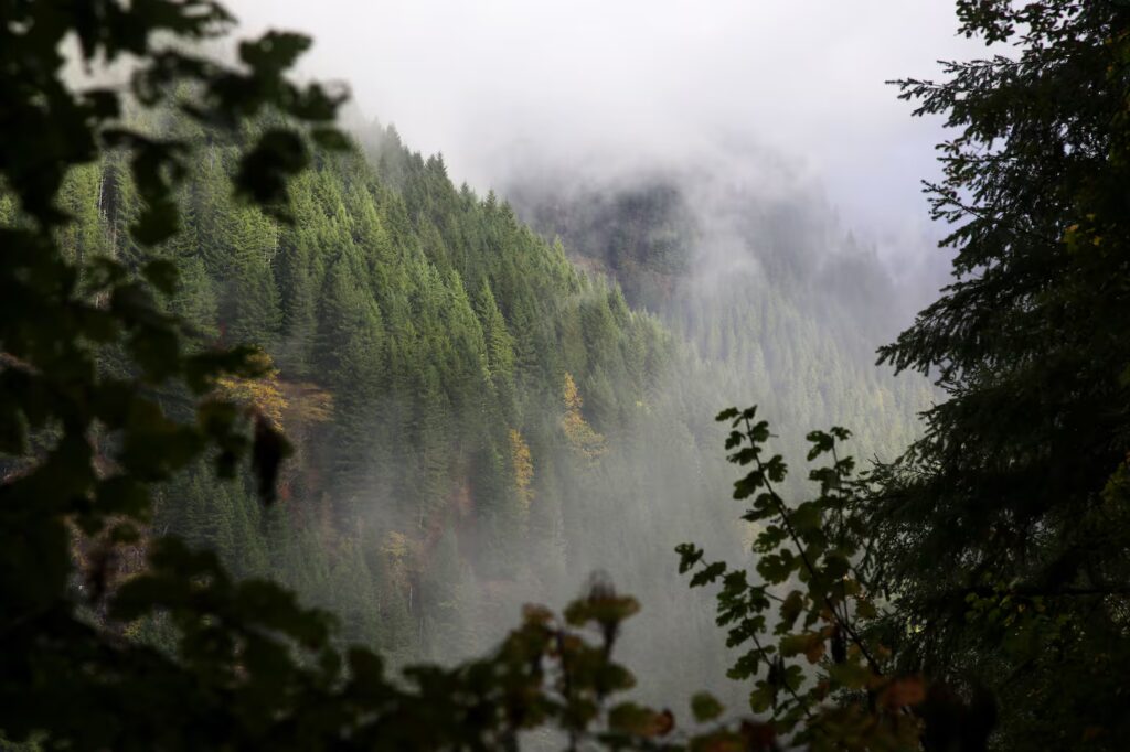 Why Fall Is the Perfect Hiking Season in Oregon