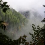 Why Fall Is the Perfect Hiking Season in Oregon