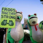 Why Portland Protests Are Drawing Frogs, Sharks and Unicorns